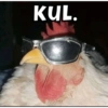 KUL.
EN