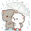 Gatinhos apaixonados 19