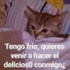 Tengo frío, quieres
venir a hacer el
delicioso conmigo¿