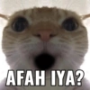 Iya deh 8