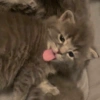 Michis Cute 🥹 9
