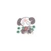 分 咔
