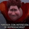 *MIRADA CON INTENCIÓN DE REPRODUCIRSE*