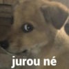 jurou né