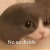 No se dividir