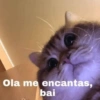 Ola me encantas,
bai