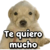 Te quiero mucho
