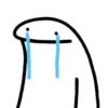 Novos memes do flork  9