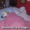 Simon orita lo hago