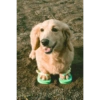 Dogs do aspas 25