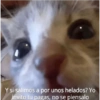 Y si salimos a por unos helados? Yo
invito tu pagas, no se piensalo