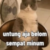 WWW.GE
untung aja belom
sempat minum