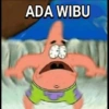 ADA WIBU
38