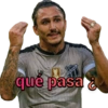 Vozão raiz/6 12