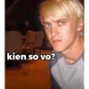 kien so vo?