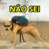 NÃO SEI