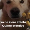 Shitpost pal chat 📱✨ 8