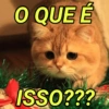 O QUE É ISSO???