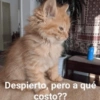 🤪👌Shitposting Random 😎🤟 2 6