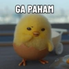 GA PAHAM