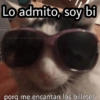 Lo admito, soy bi porq me encantan los billetes