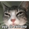 Gatos Cura Depresión😎🙀MEMES 13