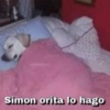 Simon orita lo hago