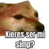 Kieres ser mi simp?