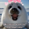 Toquilasposting Mi carita al ver tu mensaje uwu