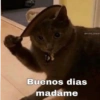 🤪👌Shitposting Random 😎🤟 2 7