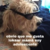 Peyitos Memes🐶🤩😎 9