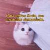 Hola ojitos lindo, me
encantas demasiado.
@notas.amorosas en Instagram
- Notas Amorosas.