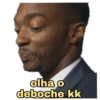 Memes do zap 5