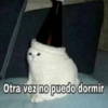 🤪👌Shitposting Random 😎🤟3 12