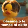bésame o le
temes al exito