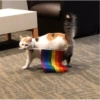 ORGULLO LGBT 18