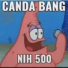 Patrick 14