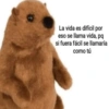 Animalitos Para Conversar 🦄🐸 12