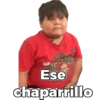 Ese
chaparrillo