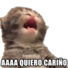 🥳Memes Party 7🎊 24