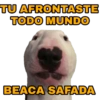 NORDESTE PAE 17