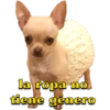 la ropa no
tiene género