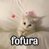 COREANINHA/APAIXONADOS😍 9
