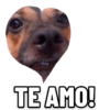 Mel_e_kadu 7