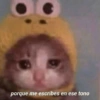 porque me escribes en ese tono