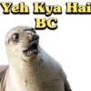 Yeh Kya Hai
BC