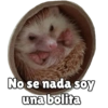 No se nada soy
una bolita