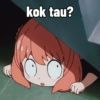kok tau?
(14