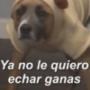 Shitpost pal chat 📱✨ 6