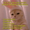 Las 4 "C" para que nuestra
relación de pareja sea exitosa:
By @Cats4mood en Instagram
- Comunicación
- Confianza
- Comprensión
Comernos como animales
en peligro de extinción